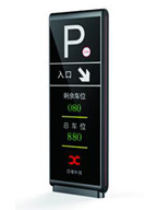 λ